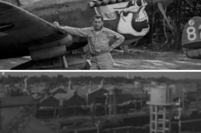 When 64 Japanese Planes Attacked One P-40 — This Pilot’s Solution Left Everyone Speechless