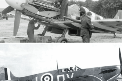 THE ENGINEER WHO TAMED THE BEAST — AND SAVED THE SPITFIRE