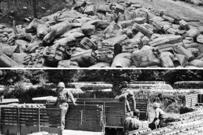 CH1 German Pilot Ran Out of Fuel Over Enemy Territory — Then a P-51 Pulled Up Beside Him