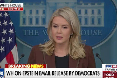 Karoline Leavitt responds after Democrats release emails detailing previously undisclosed communications from Jeffrey Epstein about President Trump.