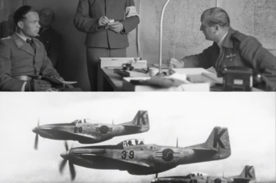 ch1 The Day Germany Realized American Fighter Tactics Made Aces Irrelevant