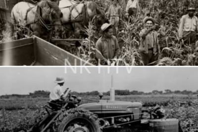 CH1(nk)One Iowa Farmer Made 40 German Prisoners Go Silent. They Thought Americans Were Lazy. What They Saw That Afternoon Proved Why Their Side Never Stood a Chance. This Forgotten Story Explains How a Single Machine Helped Win a Global War.