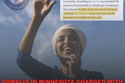Minnesota Social Services Fraud Scandal: What Actually Happened