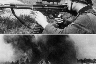 How One Farm Boy’s Stunning ‘1,100-METER SHOTS’ Killed 345 Soviets and Changed War