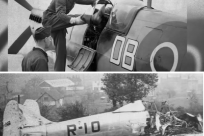 Germans Laughed at This ‘Legless Pilot’ — Until He Destroyed 21 of Their Fighters