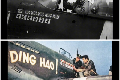 They Told Him to Turn Back When His Wingmen Failed — He Attacked 30 Fighters Instead