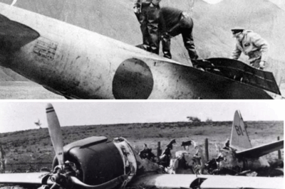 How The Zero Fighter Destroyed Japan’s Entire Pilot Corps