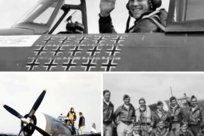 German Pilots Laughed At The P-47 Thunderbolt, Until Its Eight .50s Rained Lead on Them
