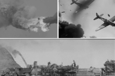 CH1 How One Farmer’s “Crazy Trick” Shot Down 26 Japanese Zeros in Just 44 Days