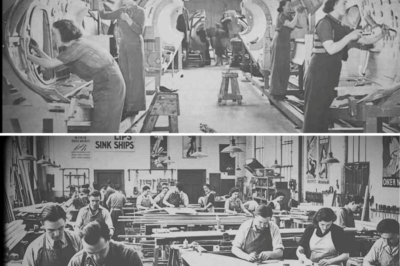 CH1 When German Engineers Tore Apart a Mosquito and Found the Glue Stronger Than Steel