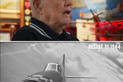 CH1 The Greatest Dogfight of the P-51 Mustang in WWII?