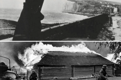 CH1 German Officer Watched 7,000 Allied Ships on D Day – Then Realized Germany Had Already Lost