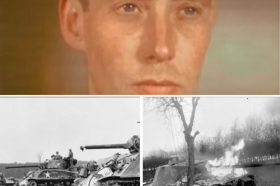 CH1 German Tank Commander Watched 50 Shermans Destroy His Panzer Division in 3 Hours