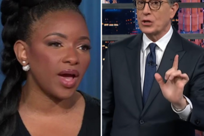 CH1 “CBS DECLARED HIM DONE — BUT COLBERT JUST SENT THEM THE FLOWERS TO THEIR OWN FUNERAL”