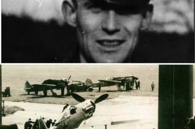 CH1 November 1944 – German Test Pilot Had 60 Minutes to Discover Why P‑51 Mustang Was Unstoppable