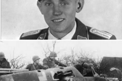 CH1 German Ace Returned to Base and Discovered 5,000 Luftwaffe Planes Destroyed in Just 7 Days