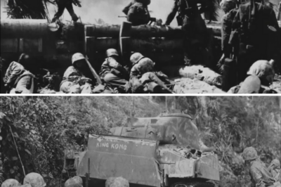 CH1 Marines Found a Pattern That Made Japan’s Snipers EASY To Spot