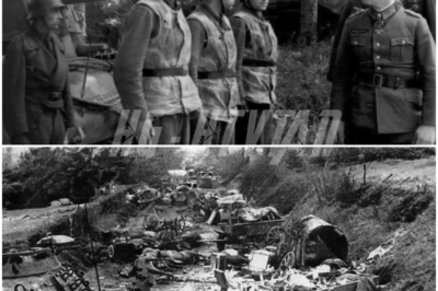 The General Who Disobeyed Hitler to Save 20,000 Men from the Falaise Pocket