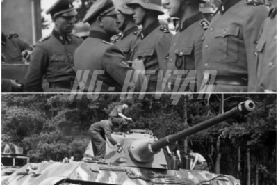 German Colonel Peiper Captured 50,000 Gallons of US Fuel and Realized Germany Was Doomed