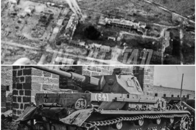 German General Couldn’t Believe the Allied Air Power Destroying His Panzers on D-Day