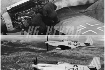German Luftwaffe General Watched P-51 Mustangs Swarm Berlin – Then Realized the War Was Over