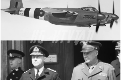 What happened to the Luftwaffe? | Aerial warfare on D-Day