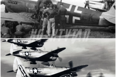 German Pilot Tested Captured American P-47 Thunderbolt – What He Discovered Changed Everything