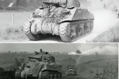 (CH1) The Secret Sherman: Why German Troops Couldn’t Destroy US M4 Tanks | Wet Stowage Explained