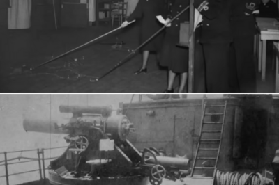 (CH1) Admirals Called Her Chalk Trick “STUPID” – Then It Saved 48,000 Lives