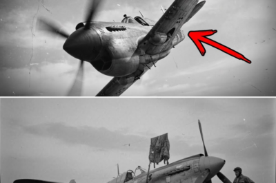 (CH1) They Mocked the “Small-Town Pilot” — Until His Maneuver Outflew Enemy Aces