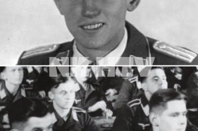 CH1(nk) German Ace Returned to Base and Discovered 5,000 Luftwaffe Planes Destroyed in Just 7 Days